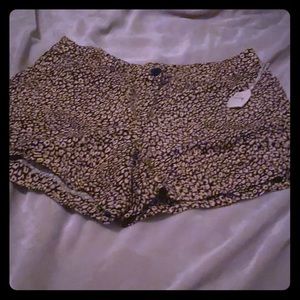 Madison shirts size 12 NEVER BEEN WORN